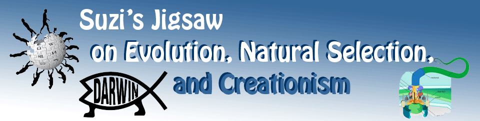 Banner Suzi's Jigsaw Banner Suzi's Jigsaw on Evolution, Natural Selecrion, and Creationism